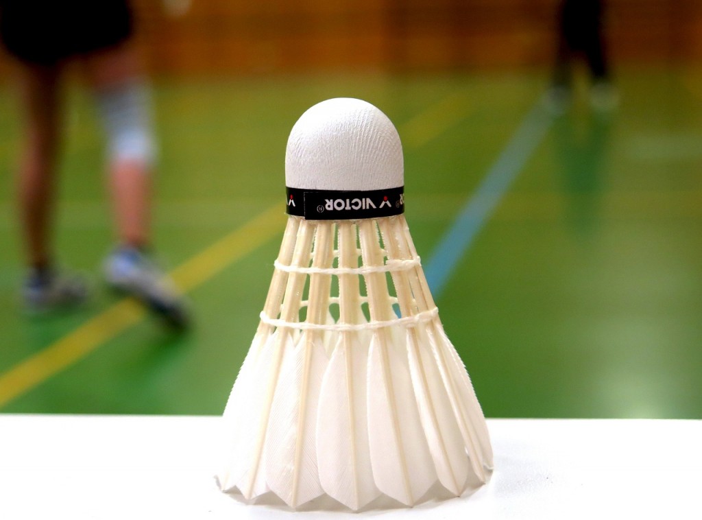 badminton-783601_1280